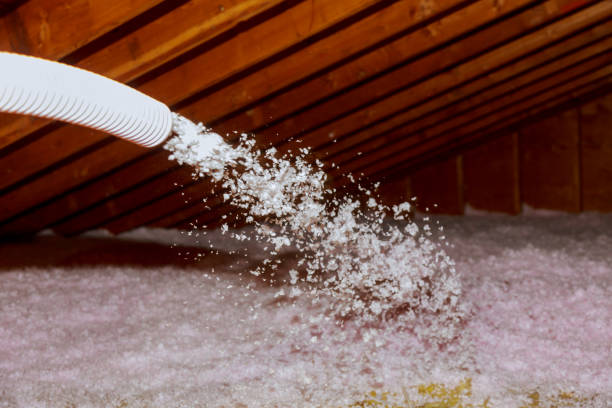 Best Insulation for Existing Homes  in USA